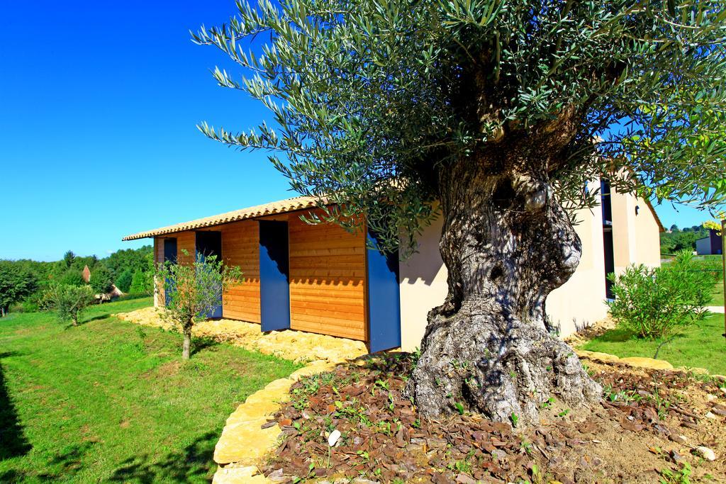 The Originals City, Hotel Albizia, Sarlat-La-Caneda Εξωτερικό φωτογραφία